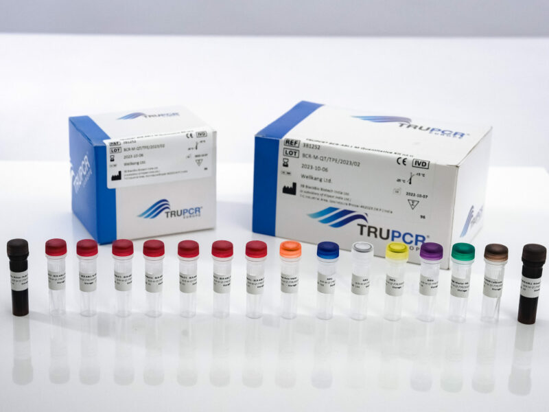 FLT3 Mutation Detection Kit - Image 5