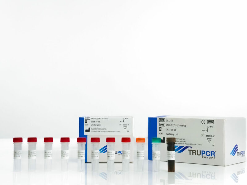 FLT3 Mutation Detection Kit - Image 4