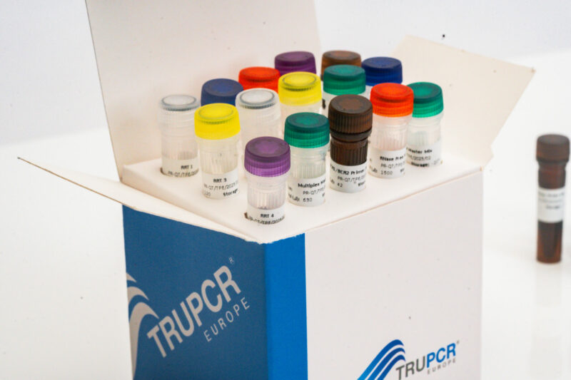 FLT3 Mutation Detection Kit - Image 3