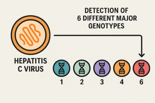 Hepatitis C virus (HCV) PCR assay kit setup on real-time PCR instrument